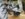 564AD6C0-3BFE-4778-9107-C25E94D07215.jpeg