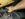 F18202BD-36EF-46AC-A7A7-D5571E0EA090.jpeg