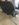 ED8B198F-953C-4247-8D14-74B2599AECD2.jpeg