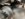 0425549D-483C-418B-B9DC-7E3D03B95846.jpeg