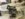 091D228C-0C3E-4E72-B1AC-C118C86821B1.jpeg