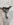 6E641466-BC04-4648-A6B3-CF8BA3064088.jpeg