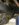 1601BD57-3342-4C12-B8DD-3D6369A2EF4D.jpeg