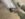 0BA4C3A3-78E8-4360-BEDE-E57934BFE7DF.jpeg