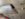 CFB5EDFE-4195-49B3-97F6-431E1298CDAE.jpeg