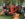 5FAE7E52-2245-444C-B5BF-9590900A8C0D.jpeg