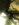 816B4B8E-088D-449E-8C55-309B04B902E8.jpeg