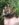 B6265B39-A4DD-4A7D-A2D3-0DA16FDF185E.jpeg