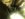 F6FFEF38-1DF2-4A12-B9BE-D8BE263BBE6E.jpeg
