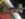 9E37DCFC-71A2-4665-B17D-36A5B8A37D37.jpeg