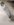 0F6E6929-D776-4462-A44D-EA3ECCD0FBE0.jpeg