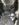 02272E2B-5DF6-492B-B936-332ED78A3739.jpeg