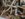 758B94CF-94F7-4F67-A7F8-C5CCB33196EF.jpeg