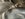 3D5840AA-9BB9-422E-B394-F94244192800.jpeg
