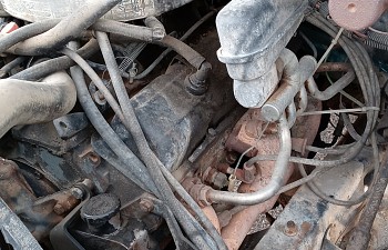 20200822_113318.jpg