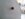 0830201247a.jpg