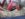 936EB94D-DE60-42F1-8BCF-FB764369EAD2.jpeg