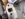 2949594A-C556-44C5-81A7-7823880D9001.jpeg