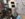 A4F4A5F1-1511-4FC6-84FB-A105714CAFD2.jpeg