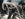 3341E58C-EAE8-460E-A2ED-830619665F36.jpeg
