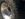 DBE811E8-83A1-4F24-A1A8-BA17542079E4.jpeg