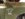 50D72387-C331-4470-BF22-27D8DDCD16DF.jpeg