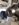 E7653E01-FF65-40F5-B5D9-2B9B0BE161DD.jpeg