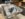 66D340CF-4F03-494F-A00F-A1DB88F61A6C.jpeg