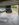 D994ED59-D8B3-4F64-A385-2B8661C67E2B.jpeg