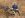 2001 Hunting trip 155.jpg