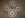 for sale 006 [800x600].jpg