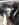 AF760A70-4678-4B88-9B63-BA527F749738.jpeg