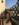 bumper4.jpg bumper4.jpg