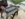 B2861EE1-DDA3-437A-BC79-3A0B5FAC58B8.jpeg
