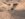 72CFDD81-C621-4D91-9F4F-D1E4B204E393.jpeg