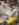 D8E62DD5-D3FA-4F35-80EB-49BE78E1C72D.jpeg