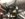 EE03D19C-1DD3-438F-AD66-BE4A594F27EC.jpeg