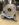 1E50B931-21E7-484E-BFF0-5C858E72F755.jpeg