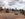 E1570C7A-244A-49D2-AE34-41F43F8696BD.jpeg