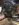 88DD6A53-E155-4D30-8173-D21F5869A1AA.jpeg