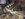 69343CFC-7E11-4744-9808-B70DB45969AE.jpeg