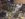 2EB5CDC6-65A0-4F1C-928F-857309F0CABB.jpeg