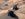 C7EC4810-9DFF-4C09-BEBA-8BE042009CFD.jpeg