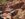 73BCDAF7-23D4-41CF-BAF6-4E86D718A62F.jpeg