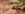 131D5140-1C72-4E89-8F18-611E37F0936E.jpeg