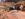 668EBA74-B4D1-4409-B10C-3F191D1A6507.jpeg
