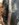 4E4069E8-76F5-4FAB-8E2C-8572F66196BC.jpeg