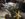 FF67B28E-57B5-4D56-BC88-AA738648F41E.jpeg