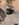 1A85FE8A-B58A-4692-9AB5-D1618C9BC431.jpeg