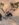 40BFAE23-C26F-4D75-BF73-950B9E42C6E3.jpeg